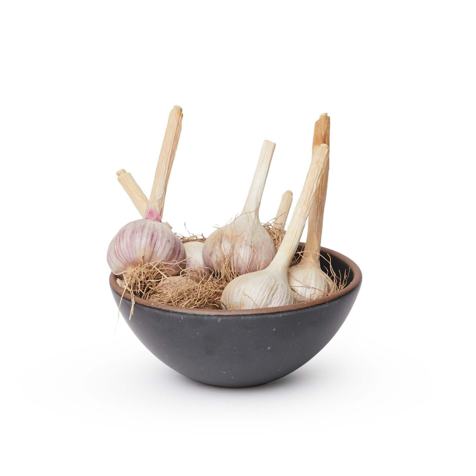 Lunessia soup bowl in Graphite, shown with garlic bulbs